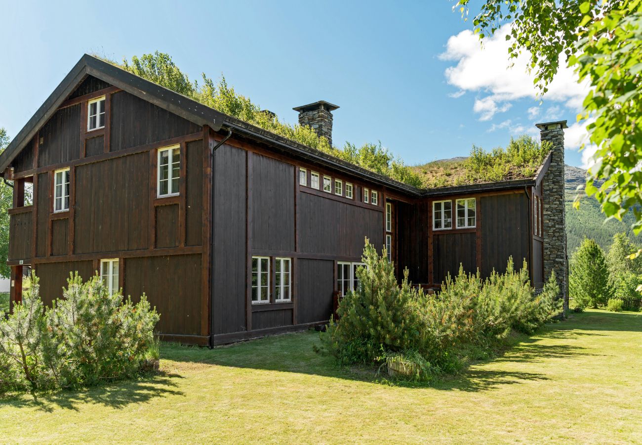 House in Hemsedal - Spacious house with terraces and sauna, Hemsedal