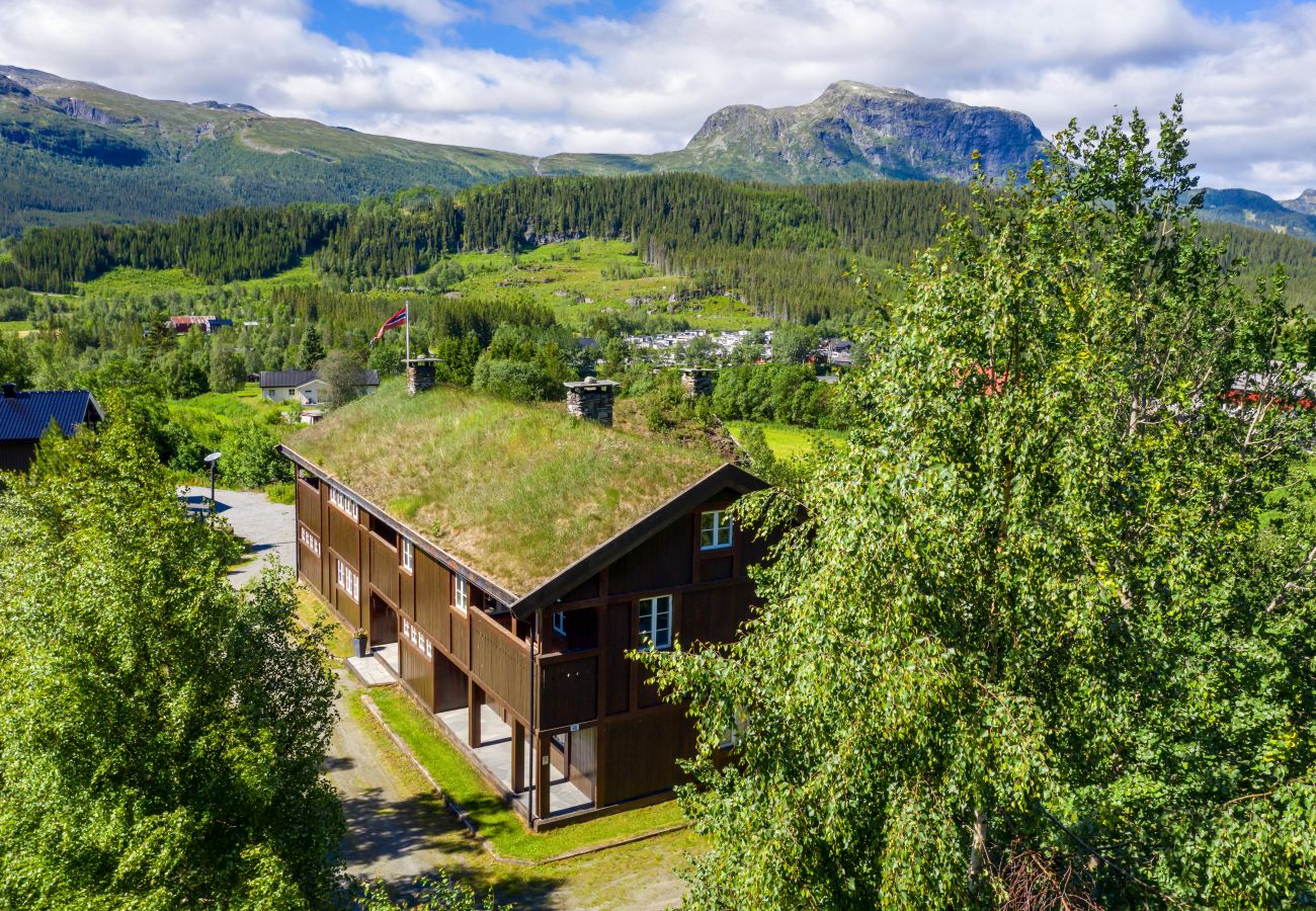 House in Hemsedal - Spacious house with terraces and sauna, Hemsedal