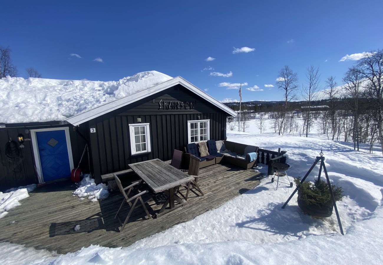 Cabin in Hemsedal - Cozy cabin in the mountains close to Hemsedal in Hallingdal