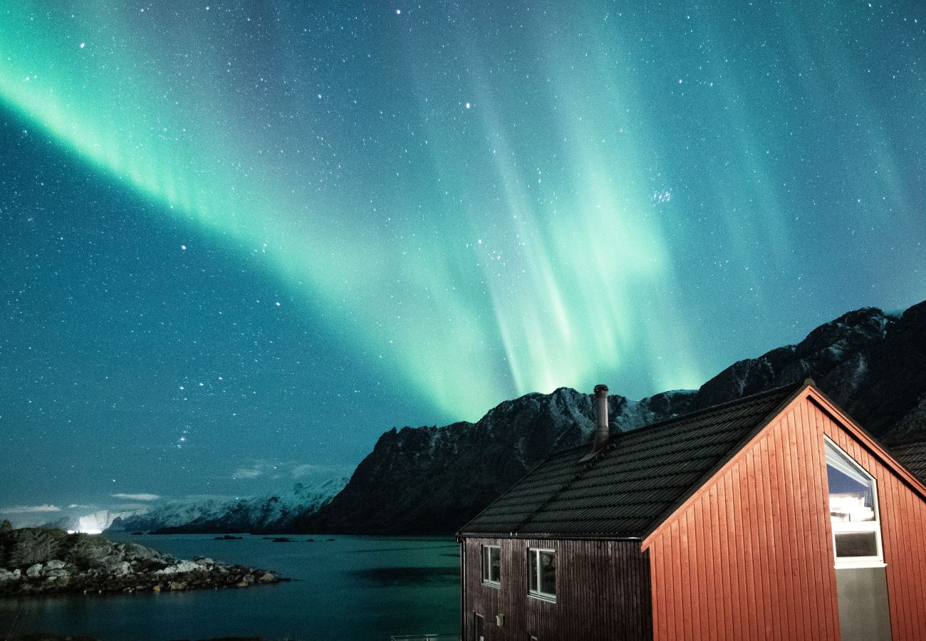 Cabin in Vestvågøy - Cabin in Lofoten with spectacular view