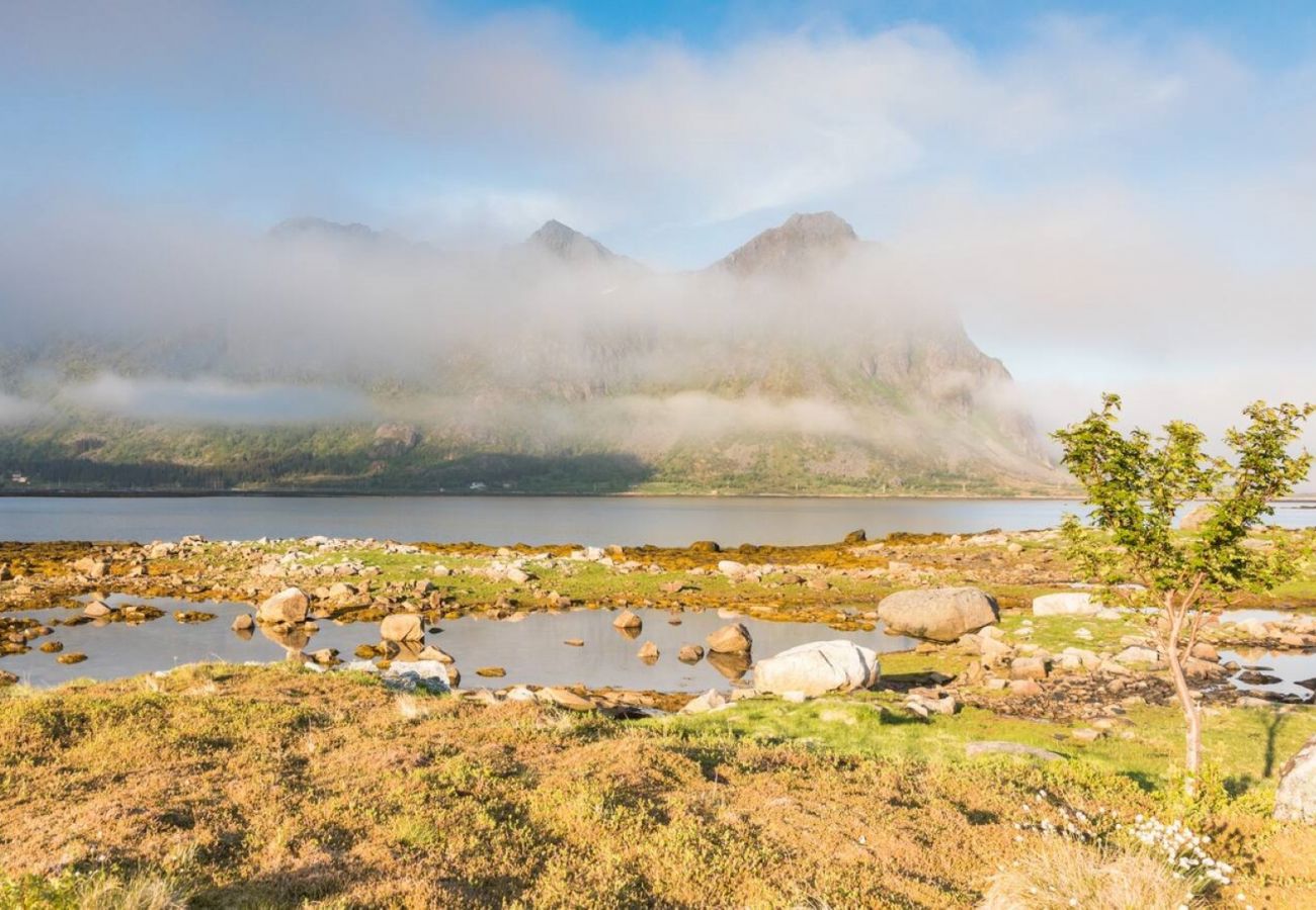 House in Vestvågøy - Charming house in fjord Lofoten