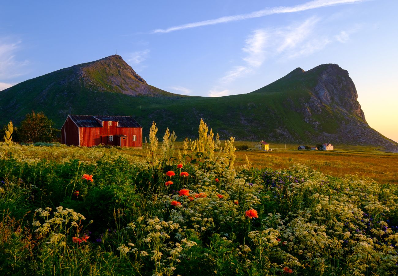 Cabin in Flakstad - Nordbo - unik plass med utsikt over Rambergstranda