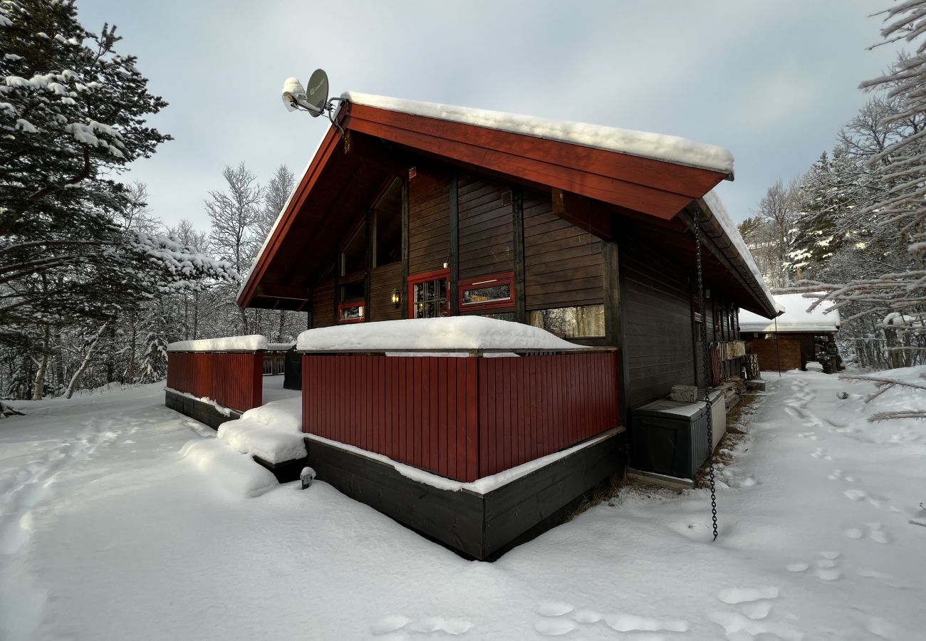 Cabin in Hol - Cozy cabin with secluded and sunny location