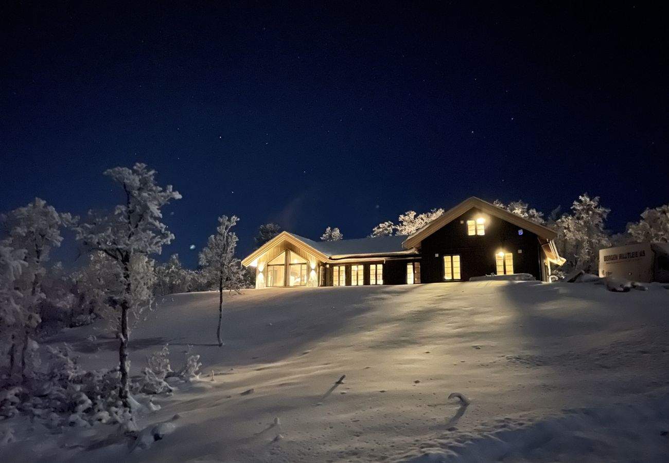 Cabin in Hol - Geilo -newly build large cabin