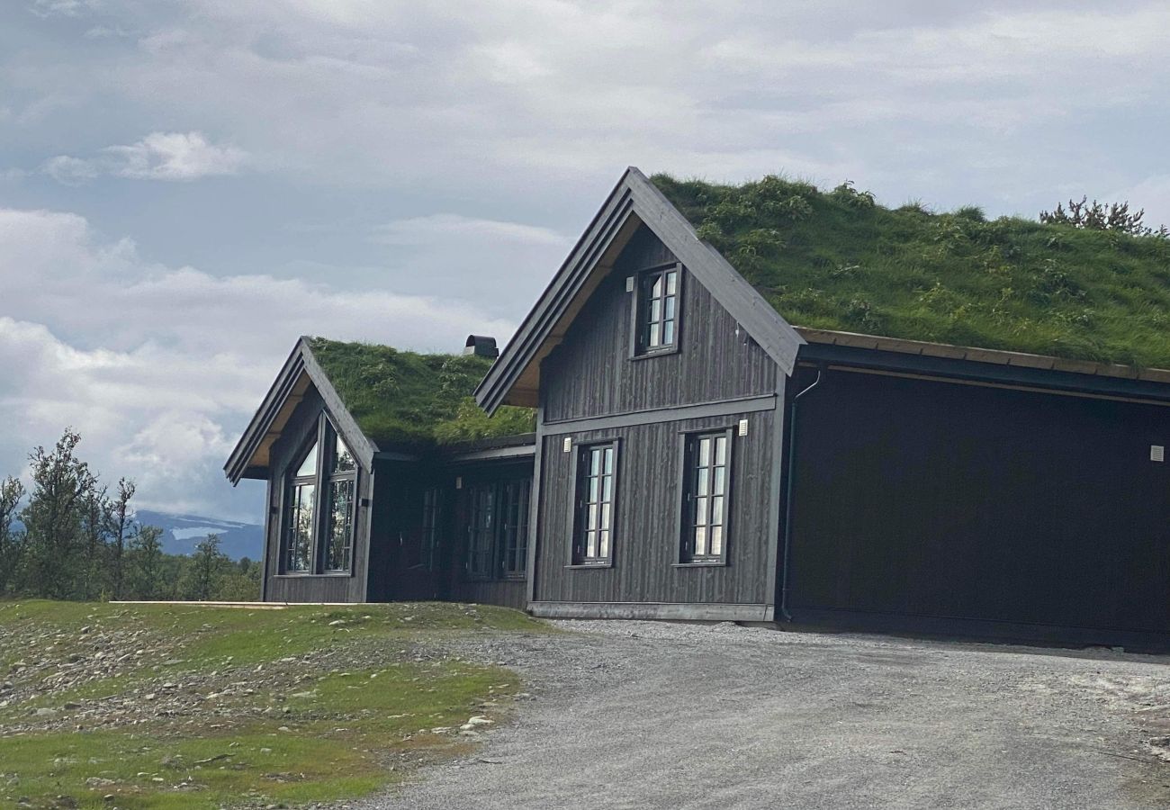 Cabin in Hol - Geilo -newly build large cabin