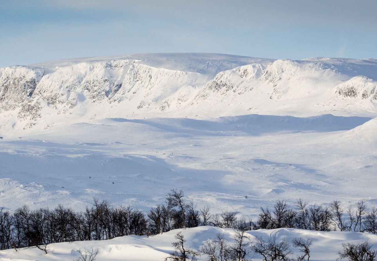 Cabin in Hol - Recently upgraded large beautiful cabin with fantastic views in Geilo