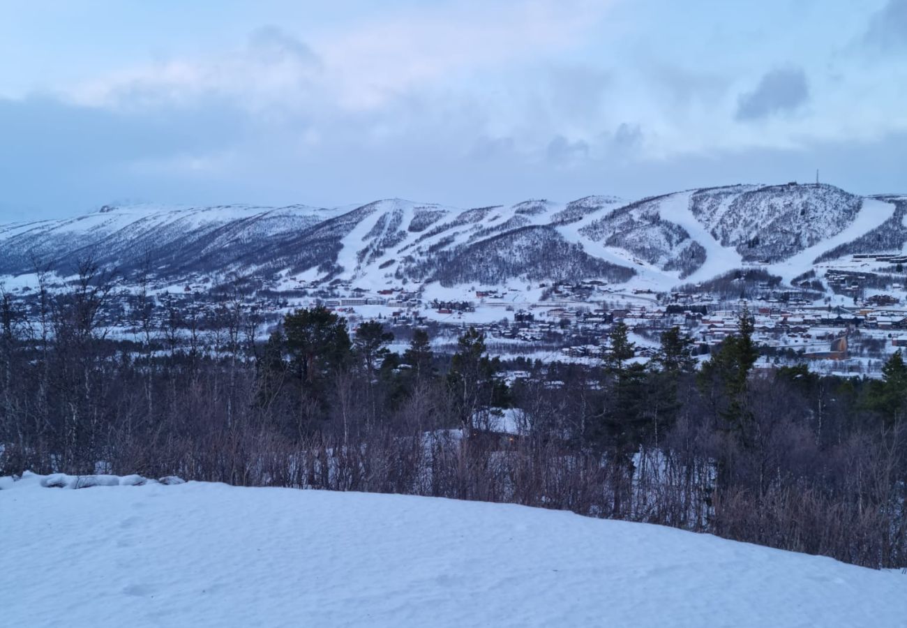 Cabin in Hol - Recently upgraded large beautiful cabin with fantastic views in Geilo