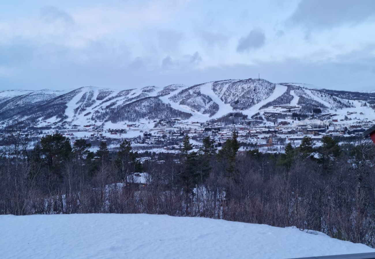 Cabin in Hol - Recently upgraded large beautiful cabin with fantastic views in Geilo