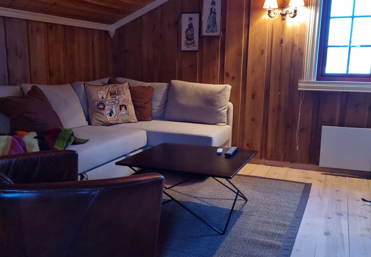 Cabin in Hol - Recently upgraded large beautiful cabin with fantastic views in Geilo