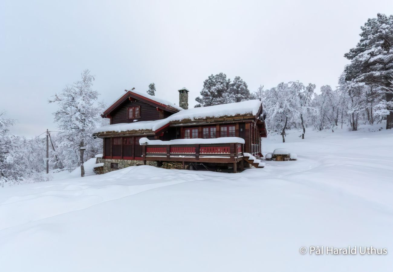 Cabin in Hol - Recently upgraded large beautiful cabin with fantastic views in Geilo