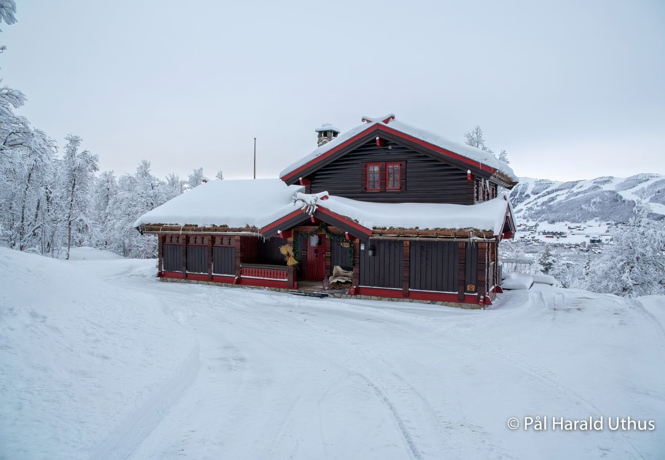 Cabin in Hol - Recently upgraded large beautiful cabin with fantastic views in Geilo