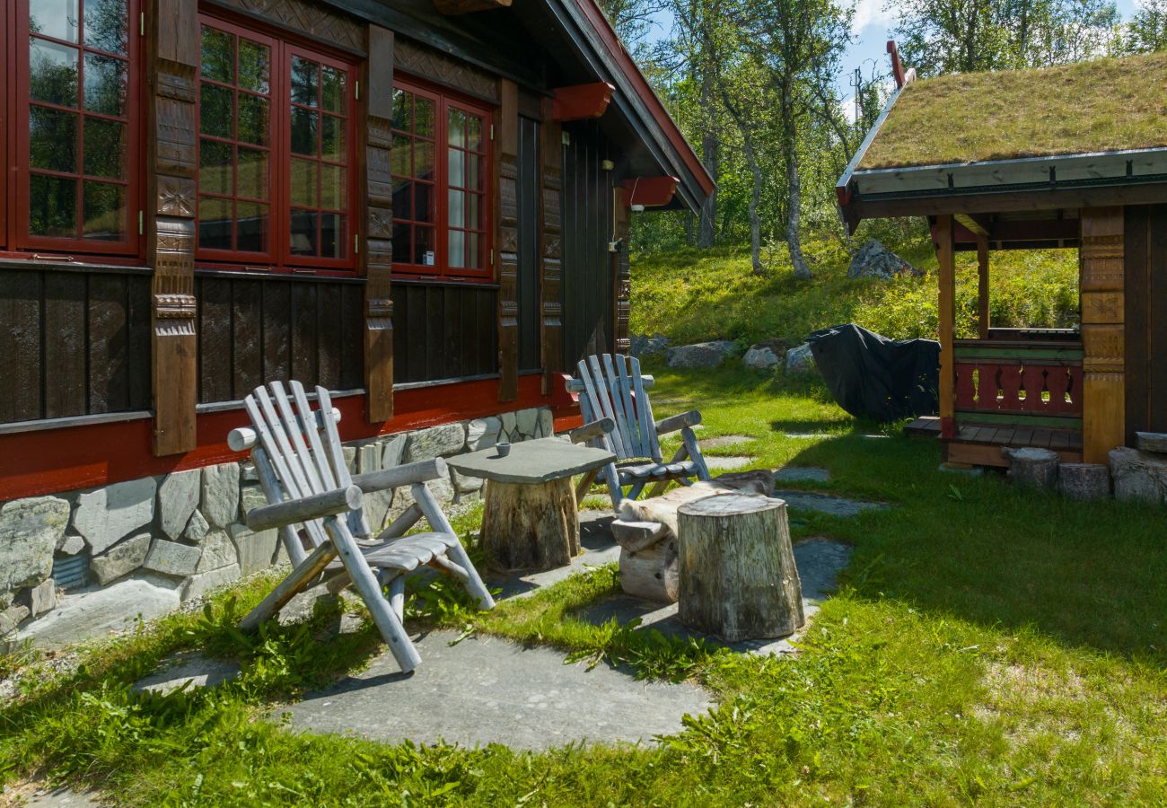 Cabin in Hol - Recently upgraded large beautiful cabin with fantastic views in Geilo