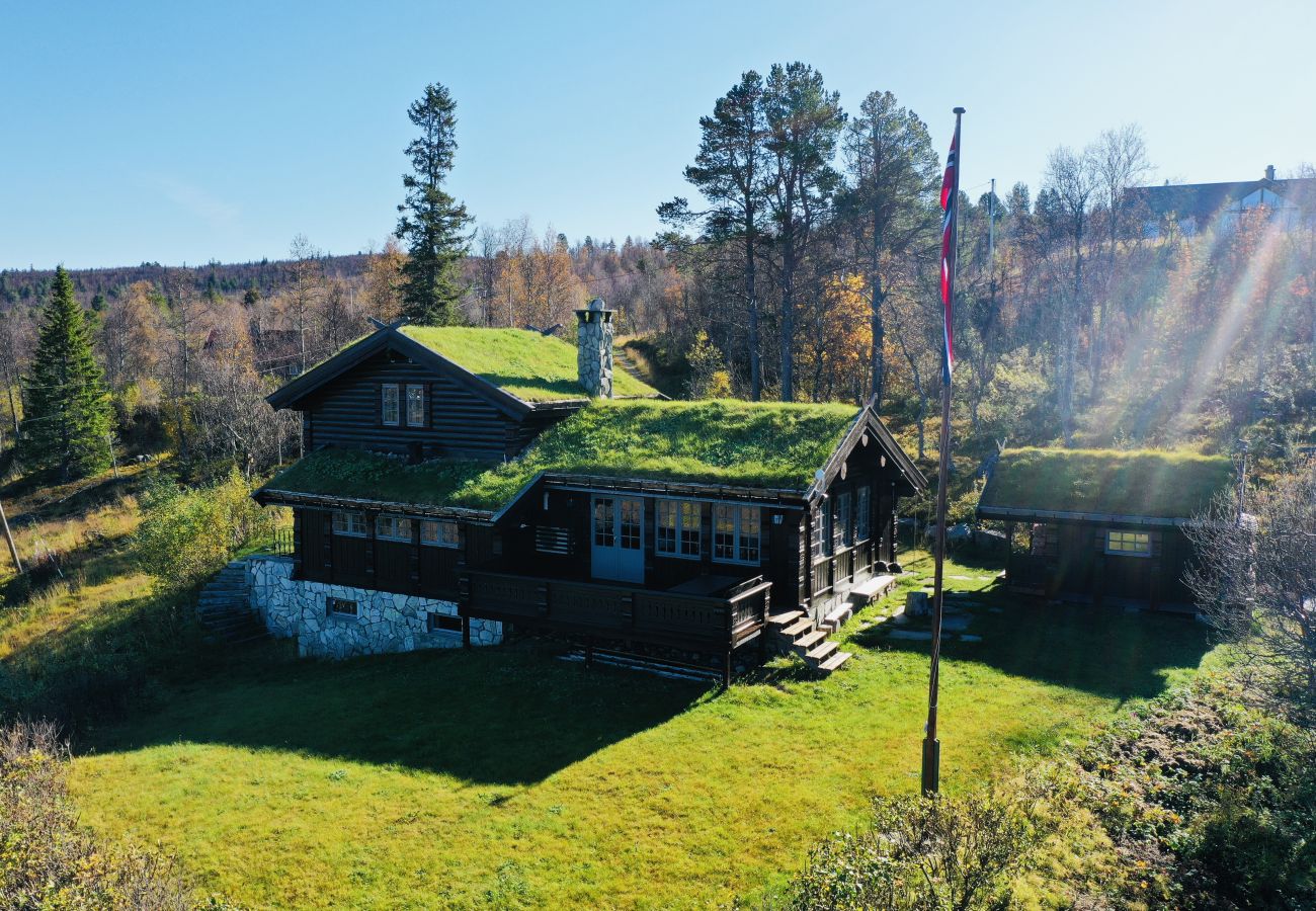 Cabin in Hol - Recently upgraded large beautiful cabin with fantastic views in Geilo