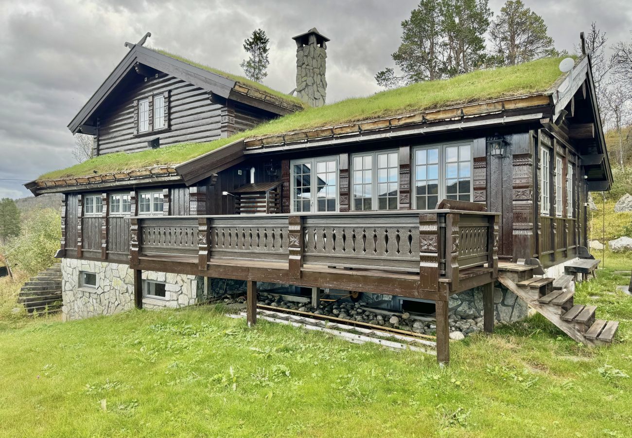 Cabin in Hol - Recently upgraded large beautiful cabin with fantastic views in Geilo