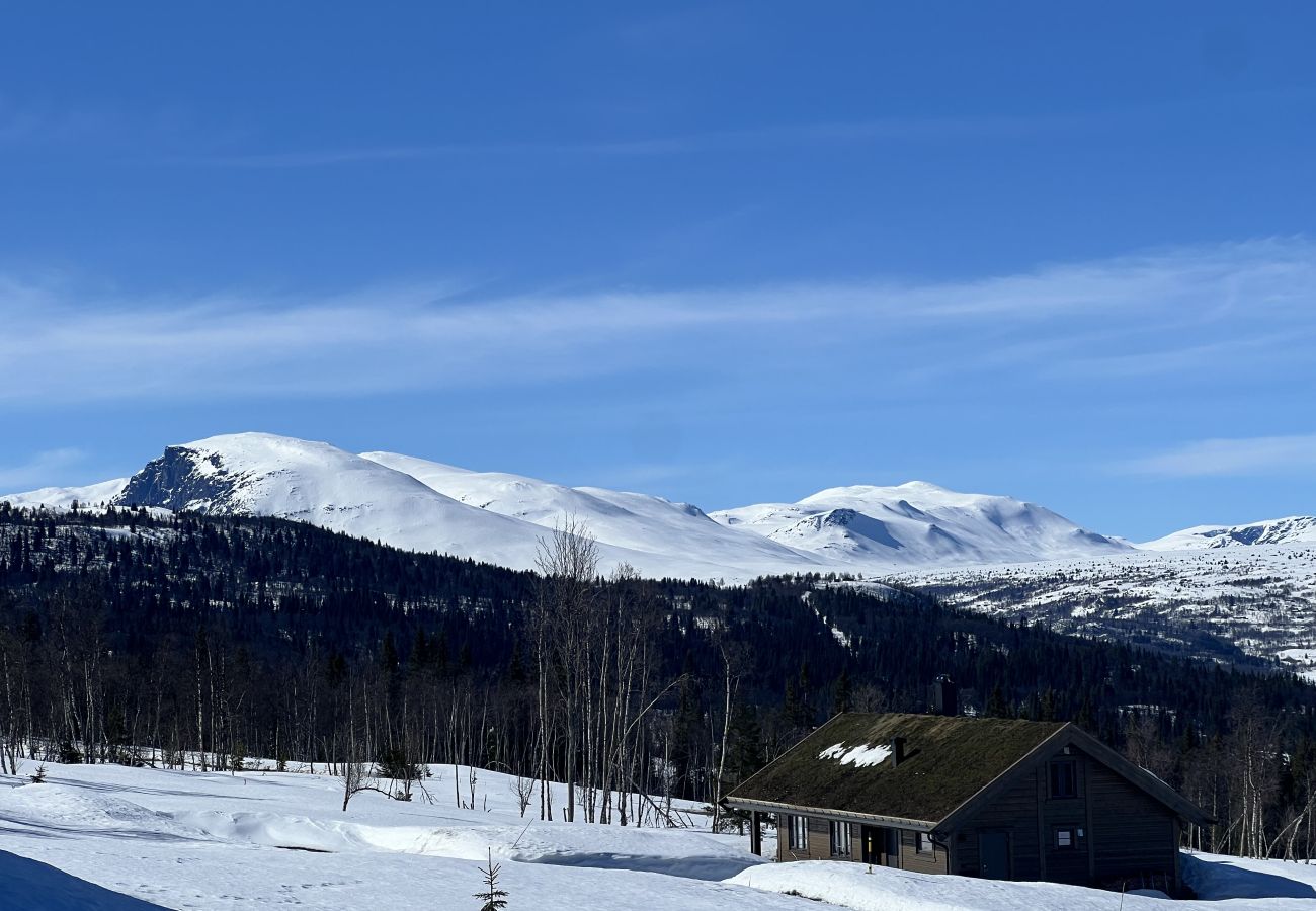 Cabin in Gol - Golsfjellet - new modern cabin with fantastic view