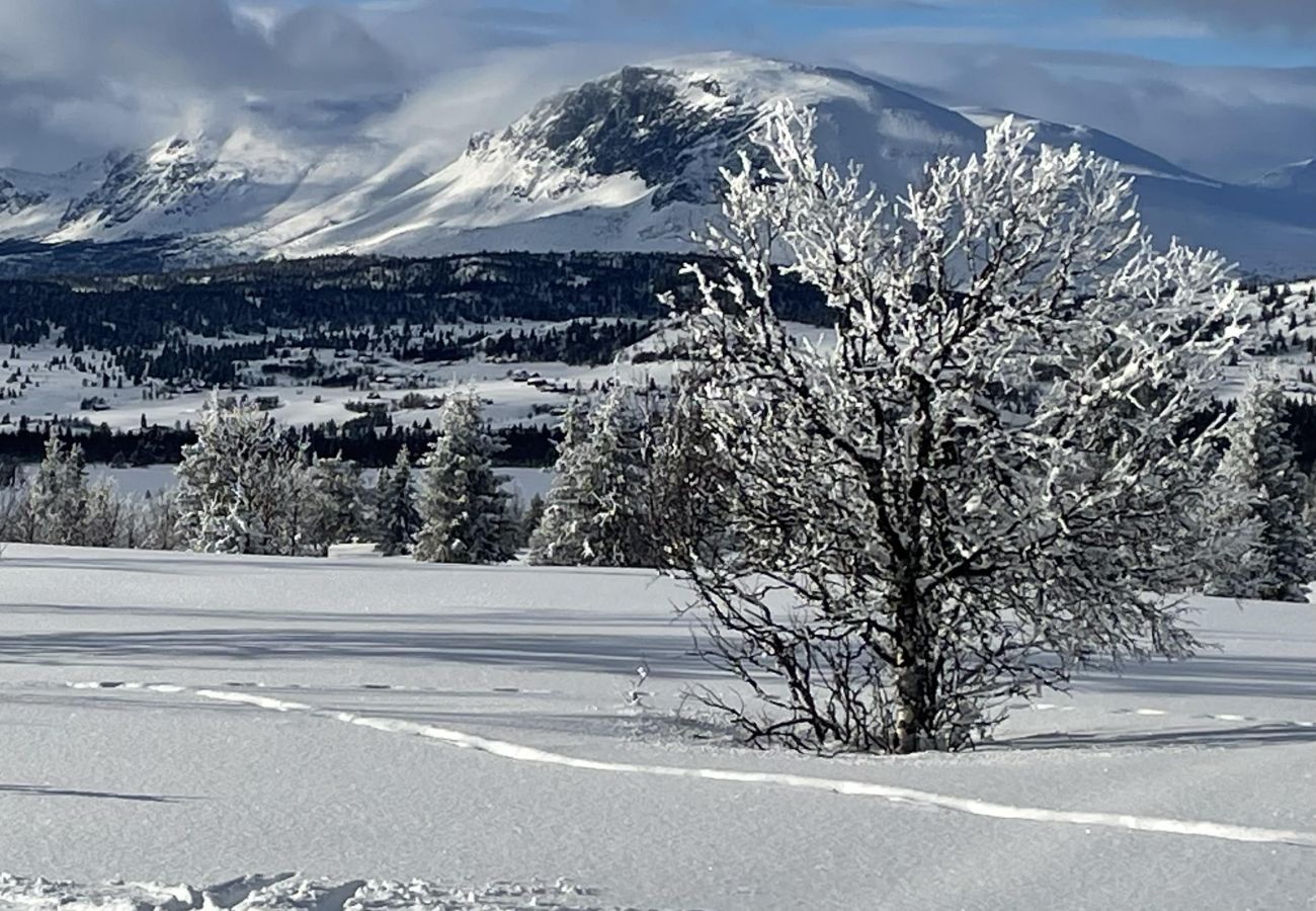 Cabin in Gol - Golsfjellet - new modern cabin with fantastic view