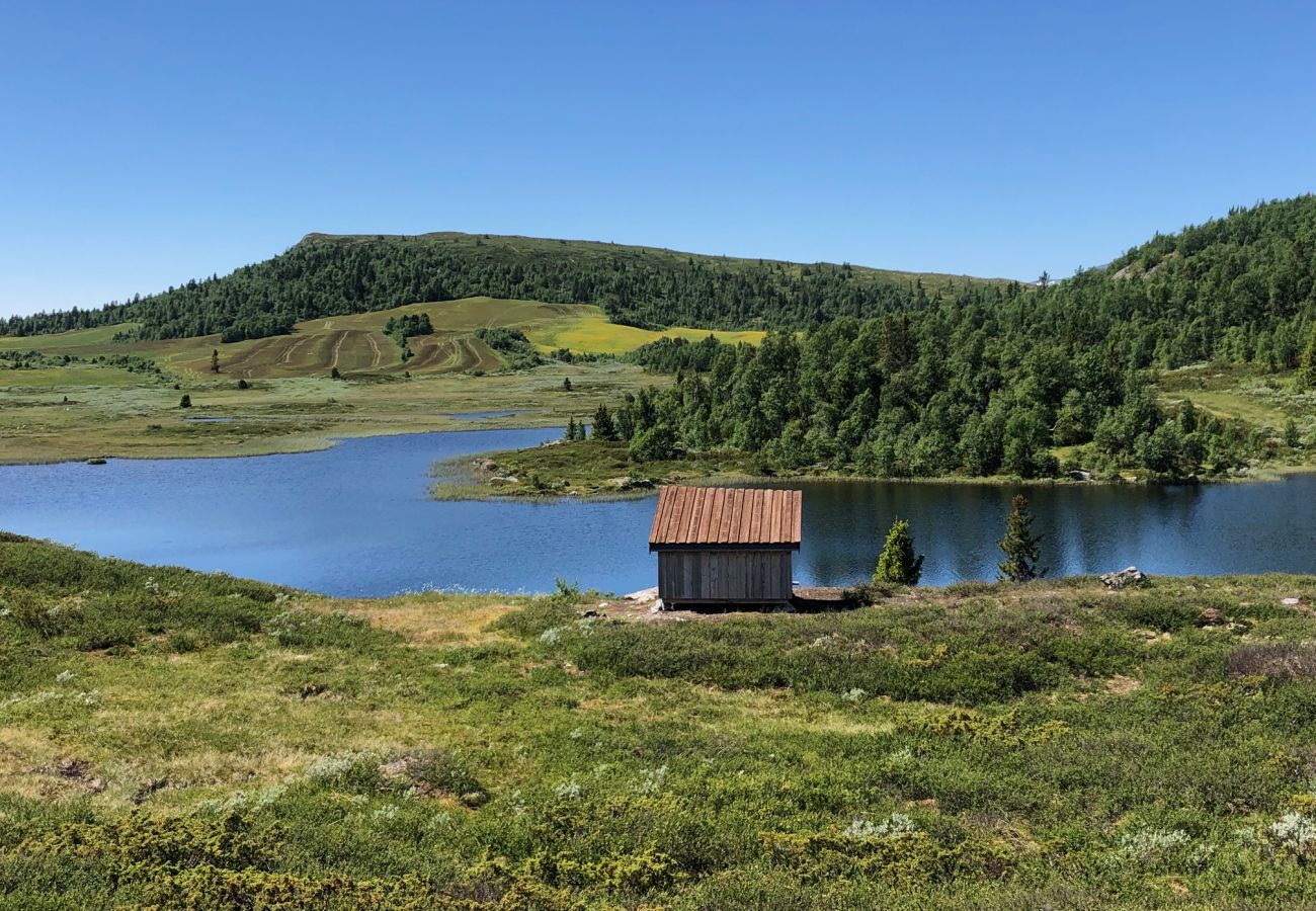 Cabin in Gol - Golsfjellet - new modern cabin with fantastic view