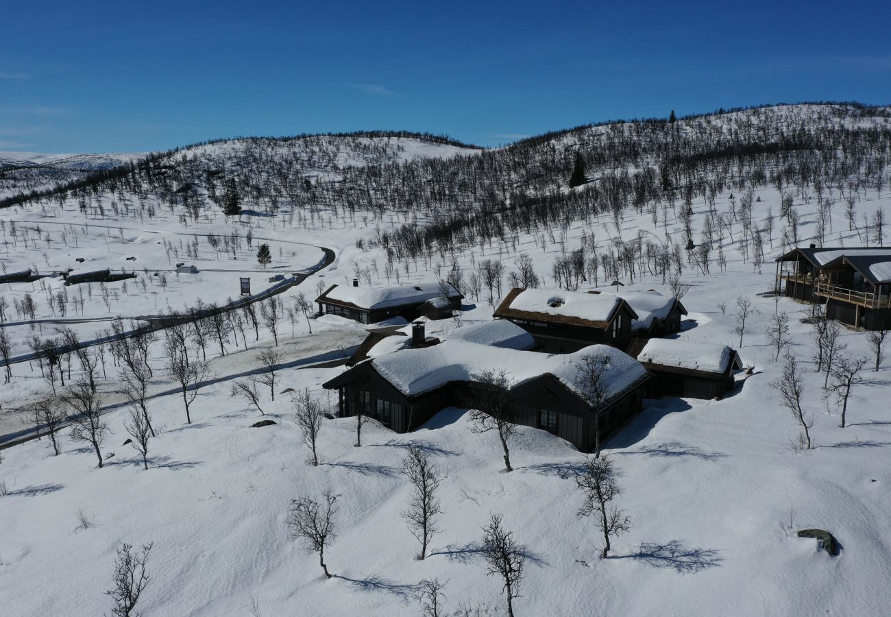 Cabin in Hol - Family-friendly cabin with sunny location for rent at Geilo