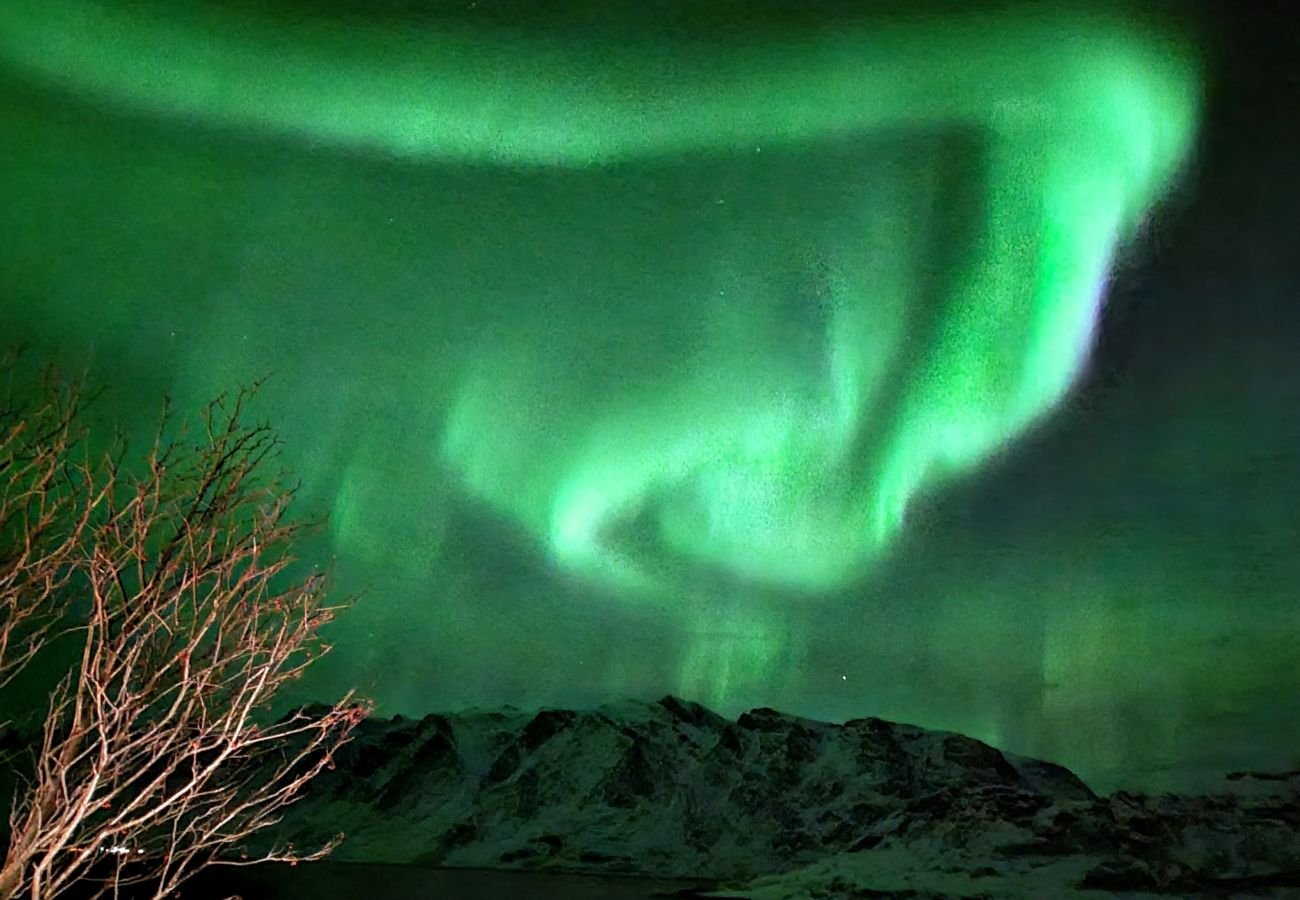 House in Flakstad - Feriehus i Sund, Lofoten