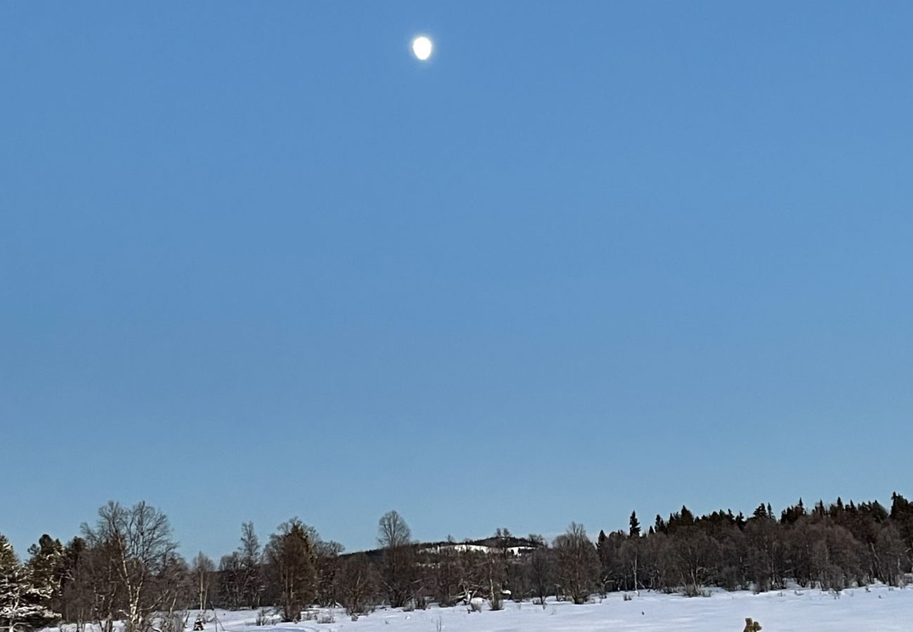 Cabin in Gol - Koselig hytte på Golsfjellet