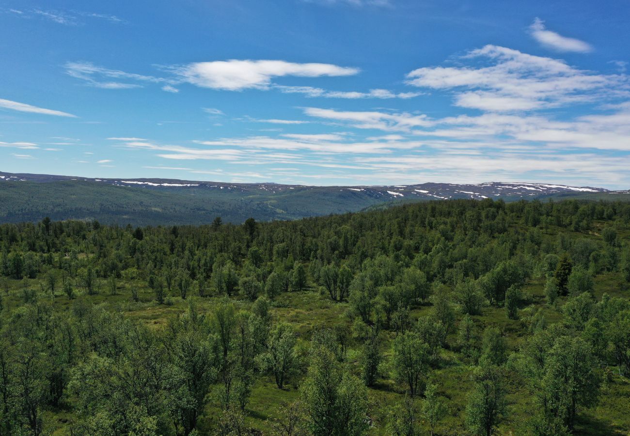 Cabin in Hol - New, cozy, and comfortable cabin in Geilo