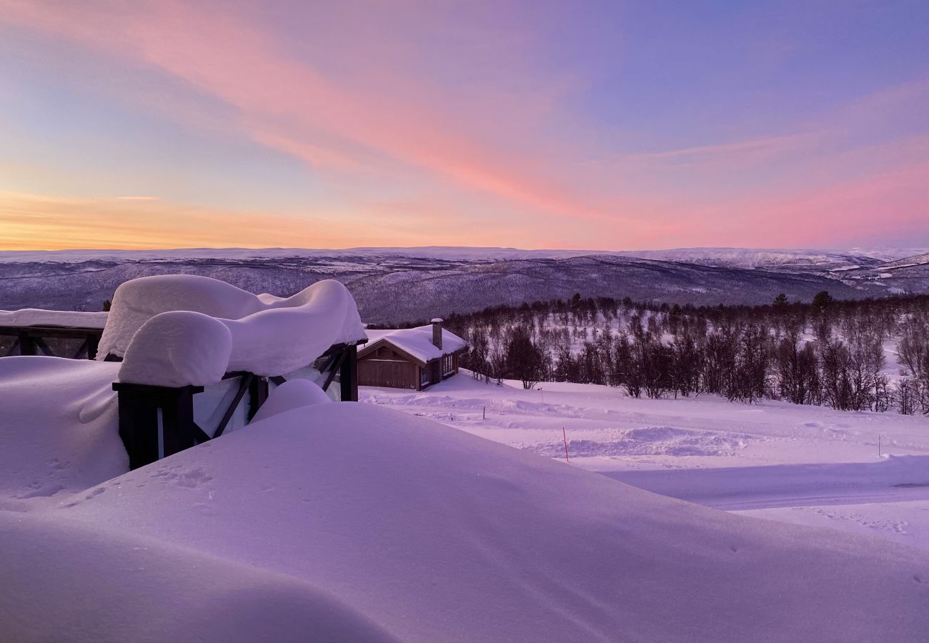 Cabin in Hol - New, cozy, and comfortable cabin in Geilo