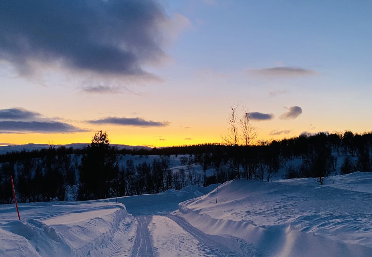 Cabin in Hol - New, cozy, and comfortable cabin in Geilo