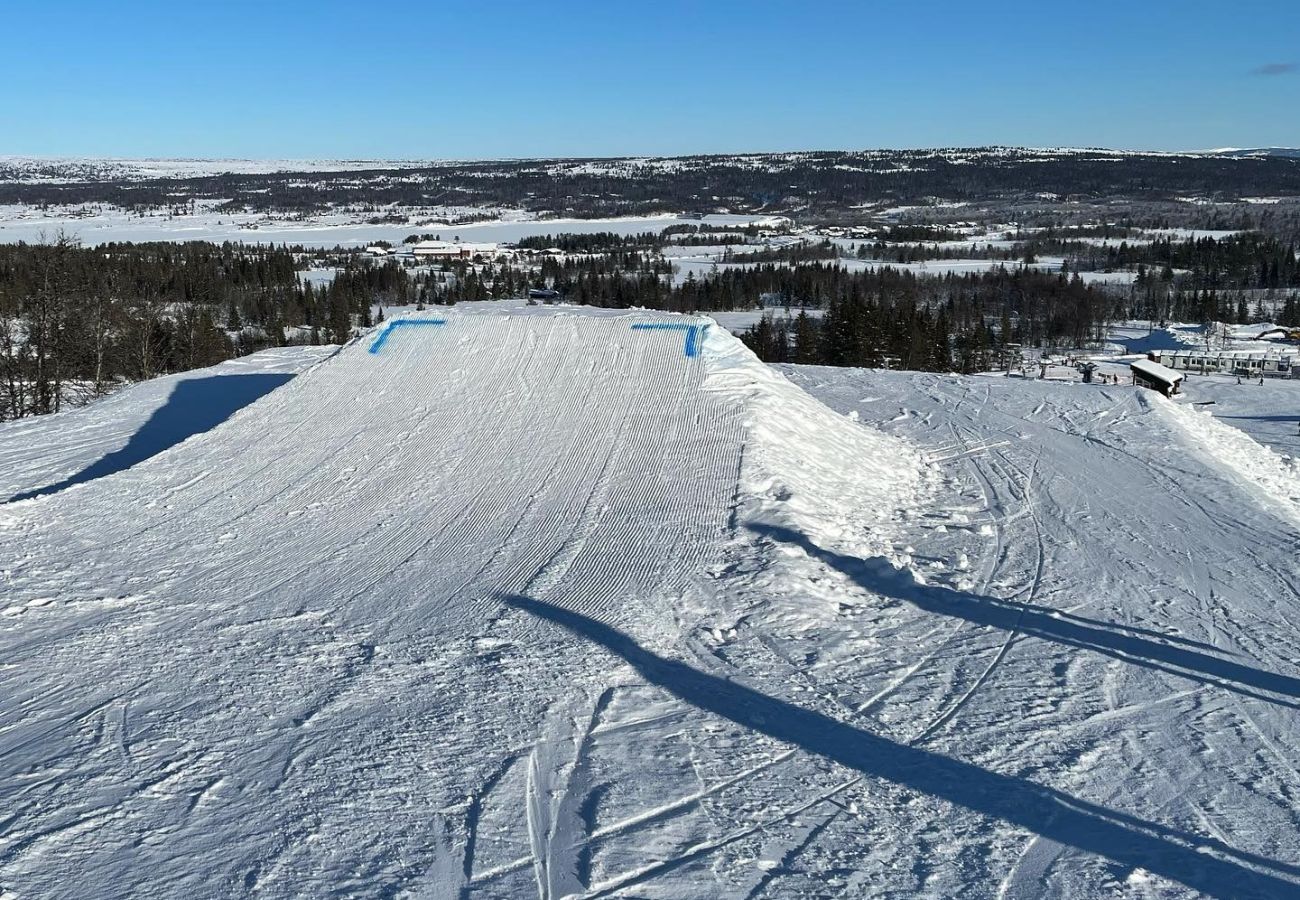 Apartment in Gol - Cozy apartment with ski in/ski out on Golsfjellet