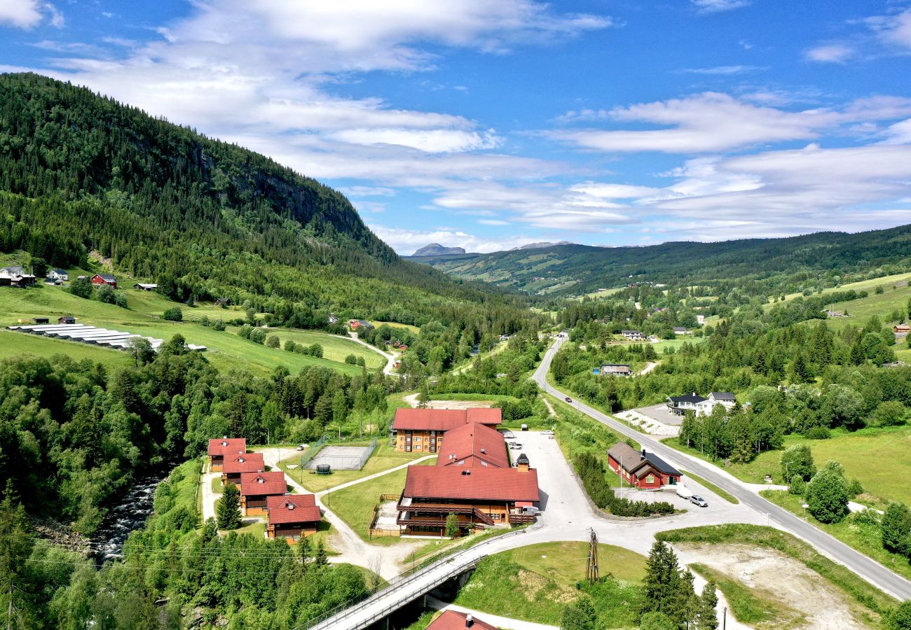 Apartment in Ål - Family-friendly apartment in Ål. 