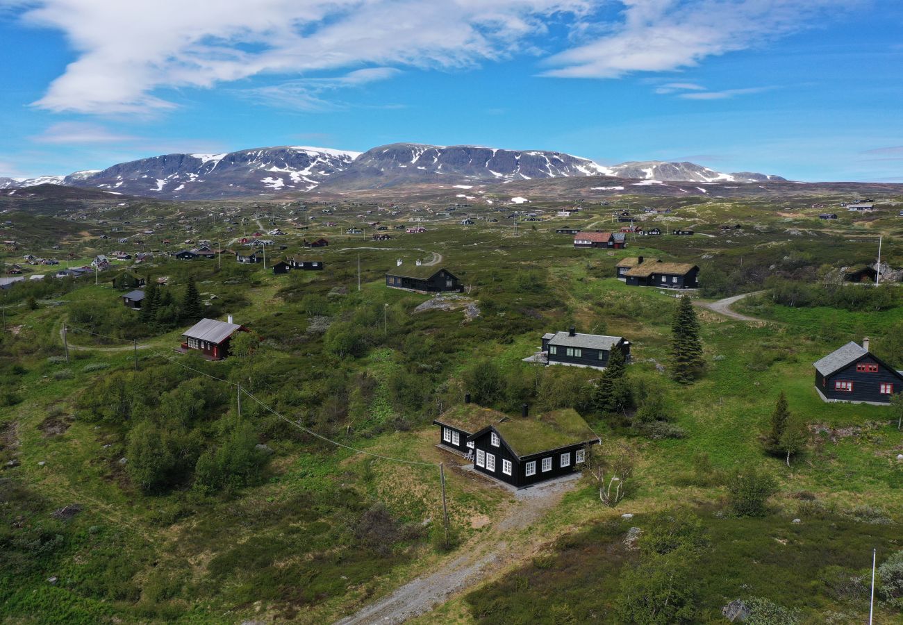 Cabin in Hol -  Charming cabin in beautiful Ustaoset