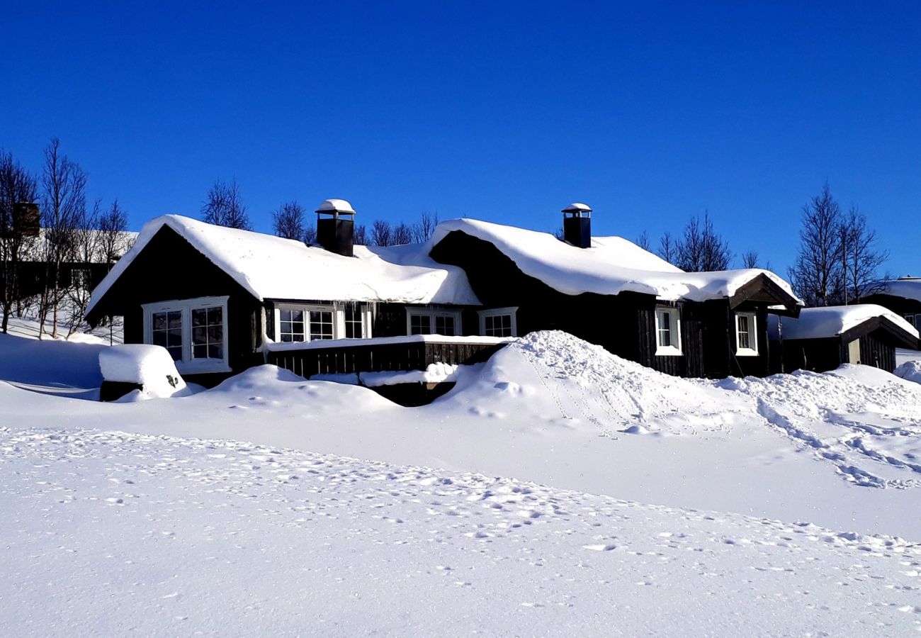 Cabin in Hol - Cozy, family-friendly cabin with stunning views in Geilo