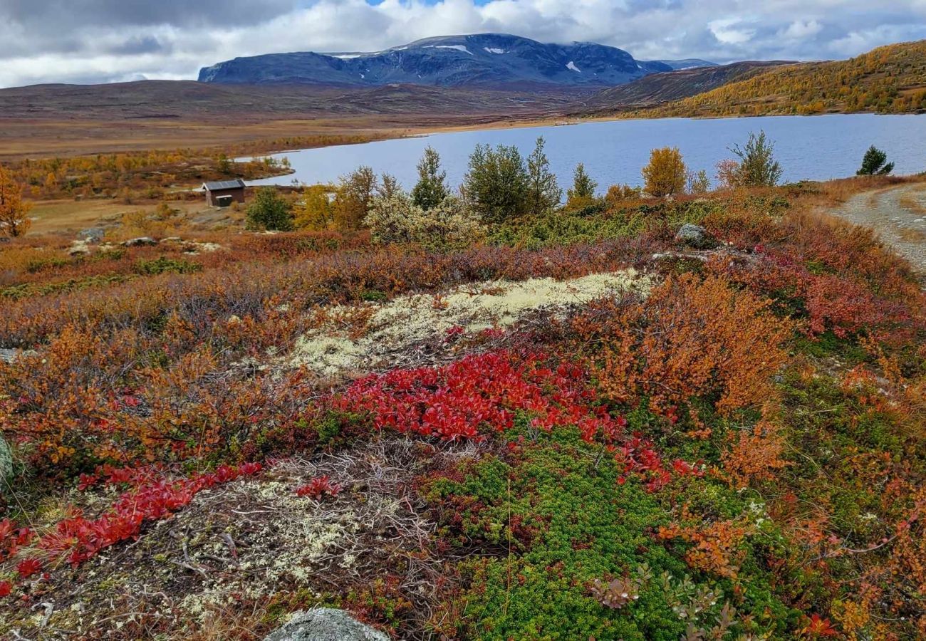 Cabin in Hol - Cozy, family-friendly cabin with stunning views in Geilo