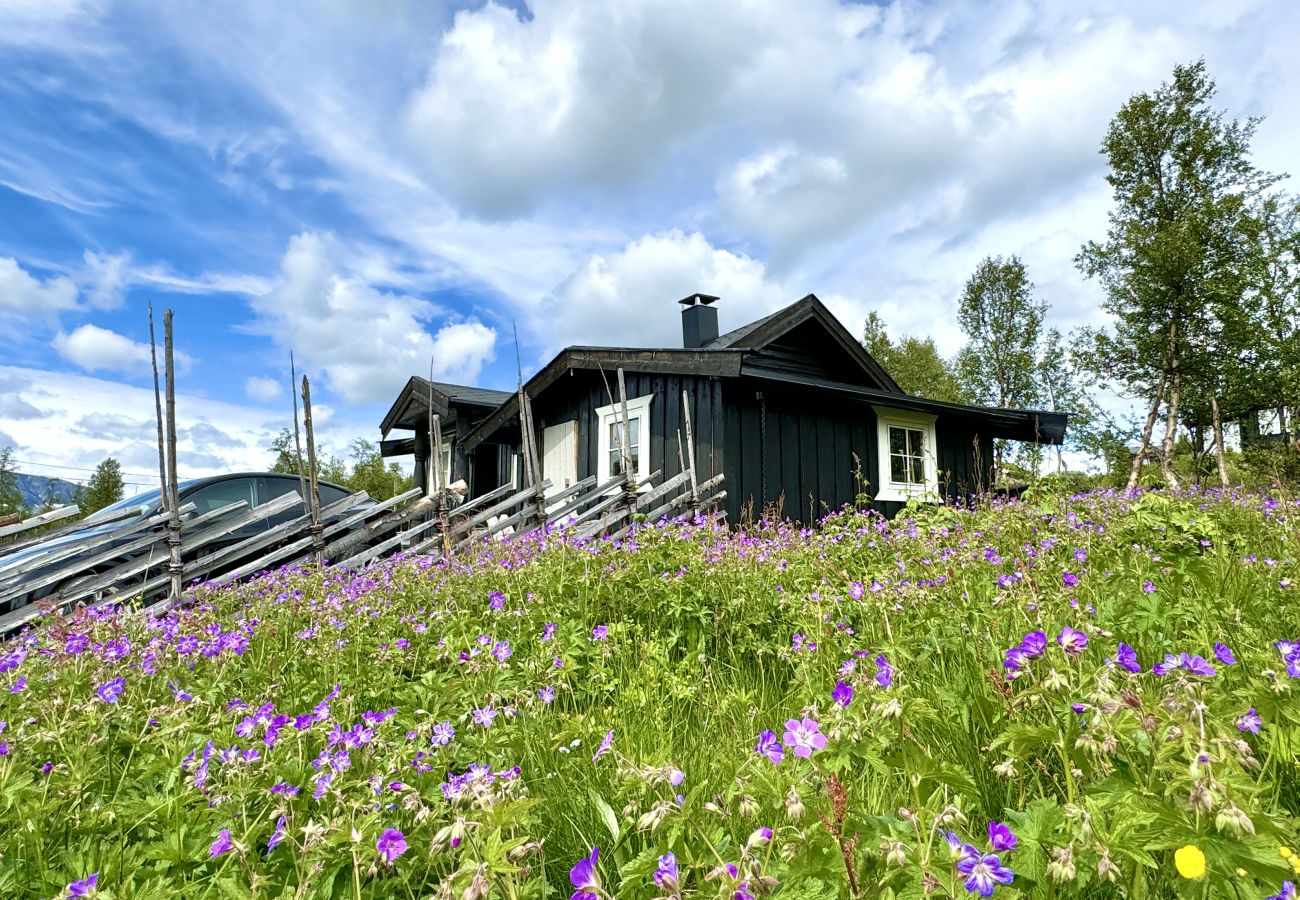 Cabin in Hol - Cozy, family-friendly cabin with stunning views in Geilo