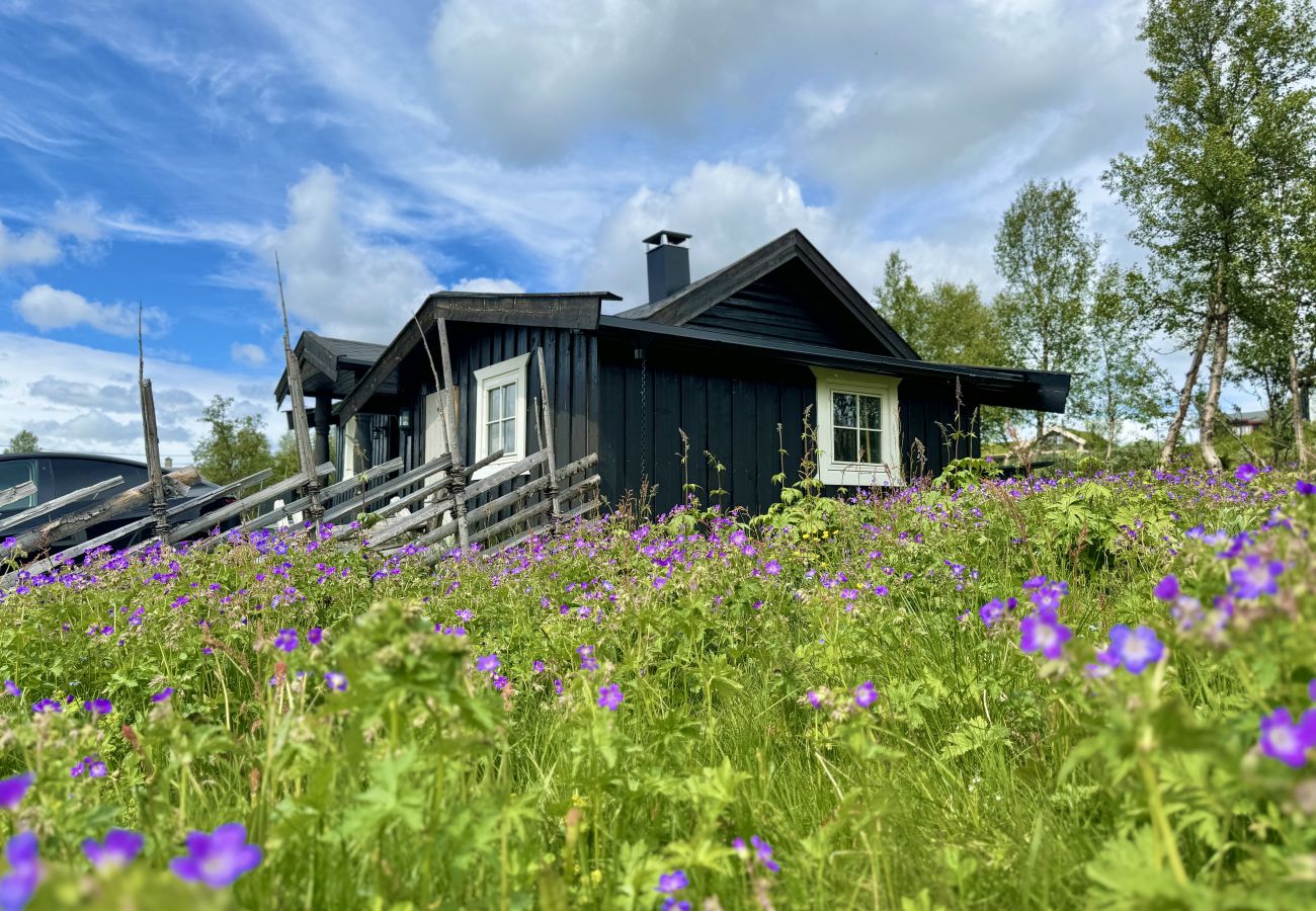 Cabin in Hol - Cozy, family-friendly cabin with stunning views in Geilo