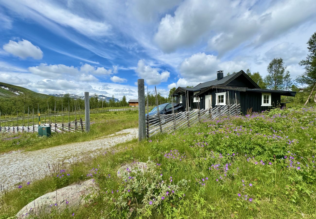 Cabin in Hol - Cozy, family-friendly cabin with stunning views in Geilo