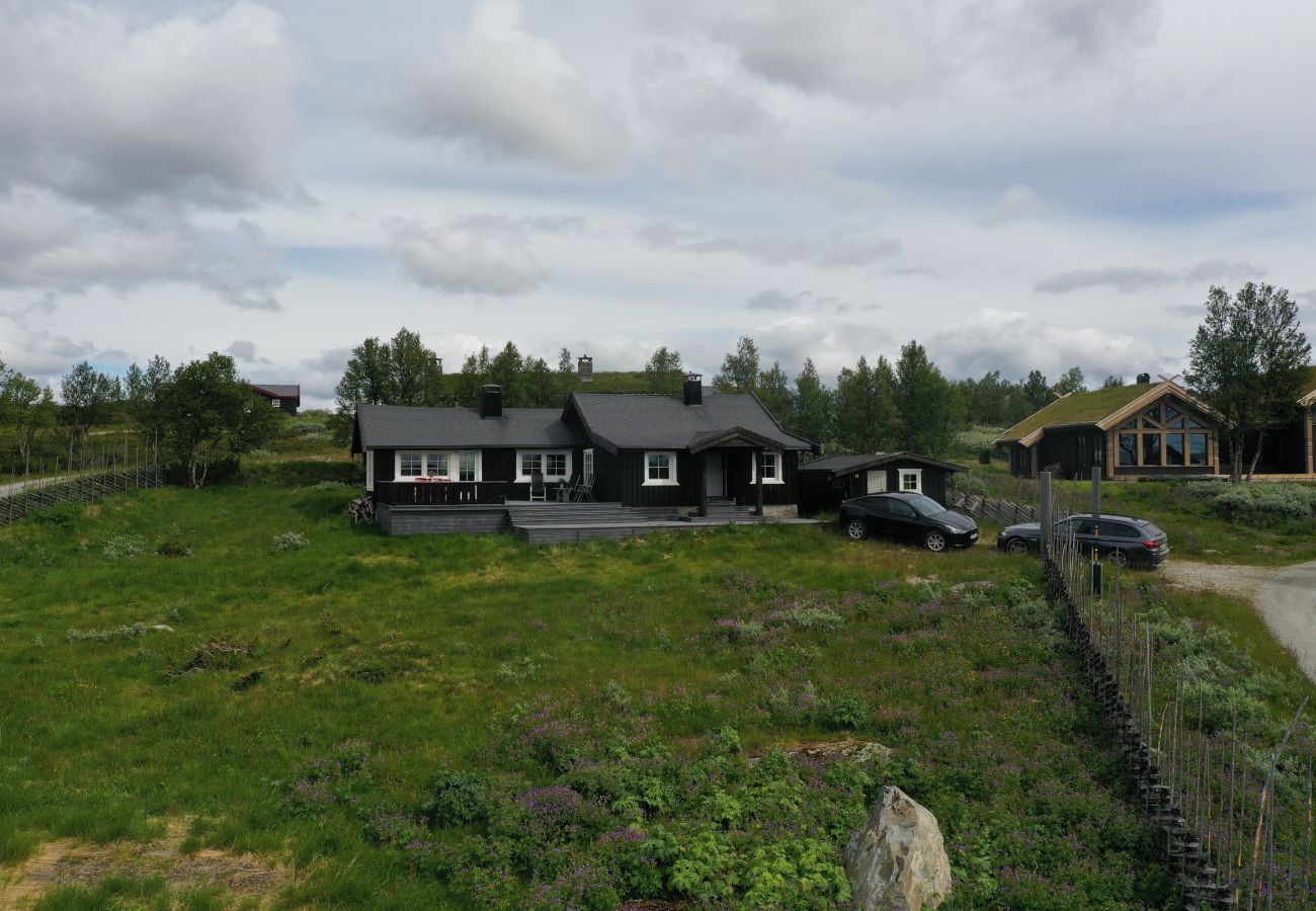 Cabin in Hol - Cozy, family-friendly cabin with stunning views in Geilo