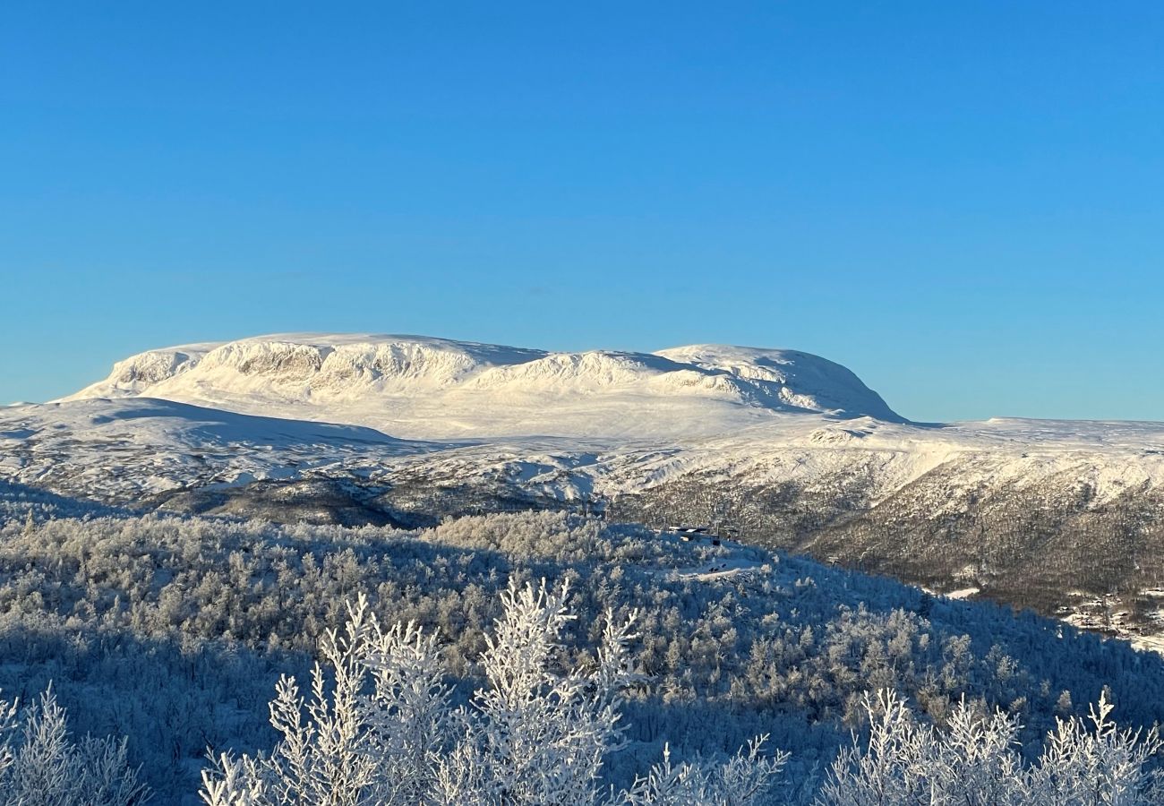 Cabin in Hol - Spacious, exclusive and modern cabin for rent in Kikut, Geilo