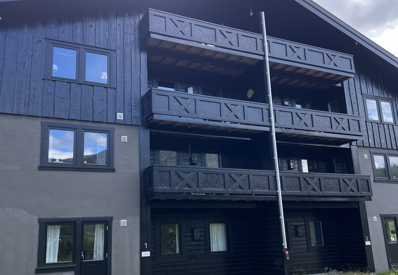 Apartment in Hemsedal -  Spacious apartment near Hemsedal ski resort Ski in ski out