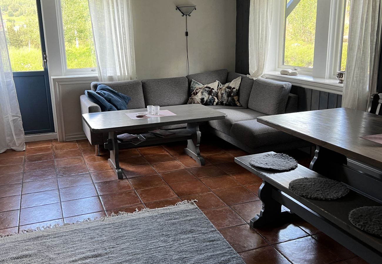 Apartment in Hemsedal -  Spacious apartment near Hemsedal ski resort Ski in ski out