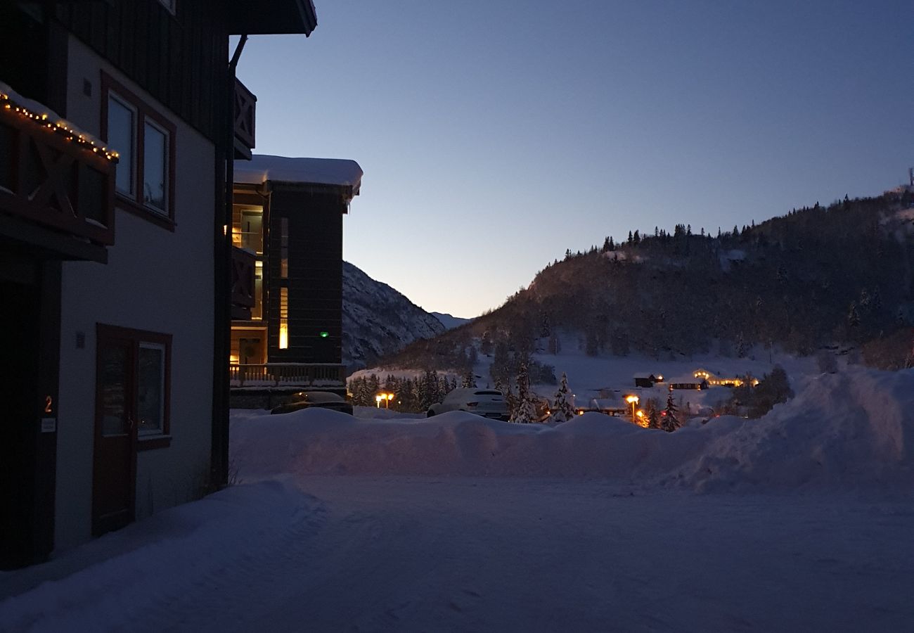 Apartment in Hemsedal -  Spacious apartment near Hemsedal ski resort Ski in ski out