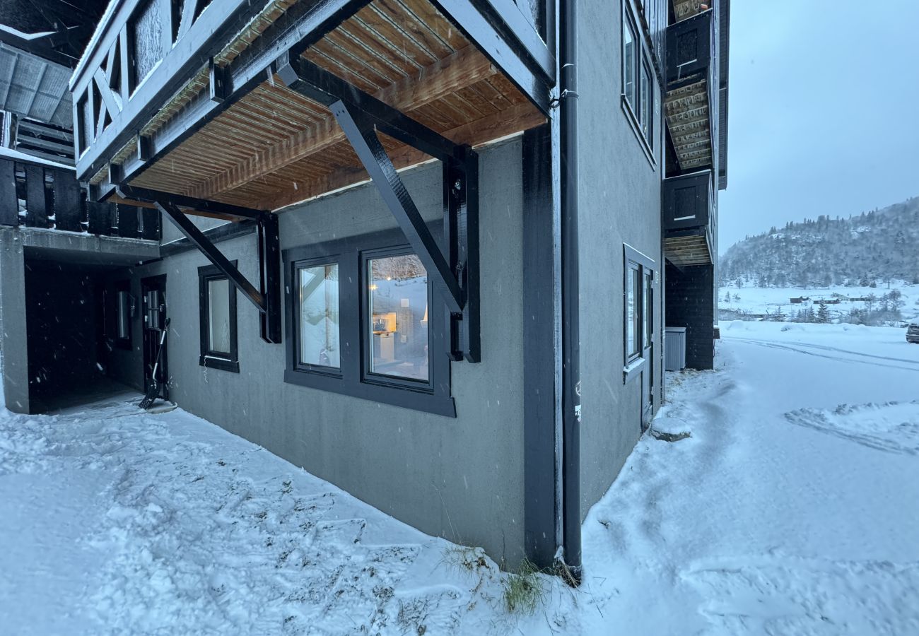 Apartment in Hemsedal -  Spacious apartment near Hemsedal ski resort Ski in ski out