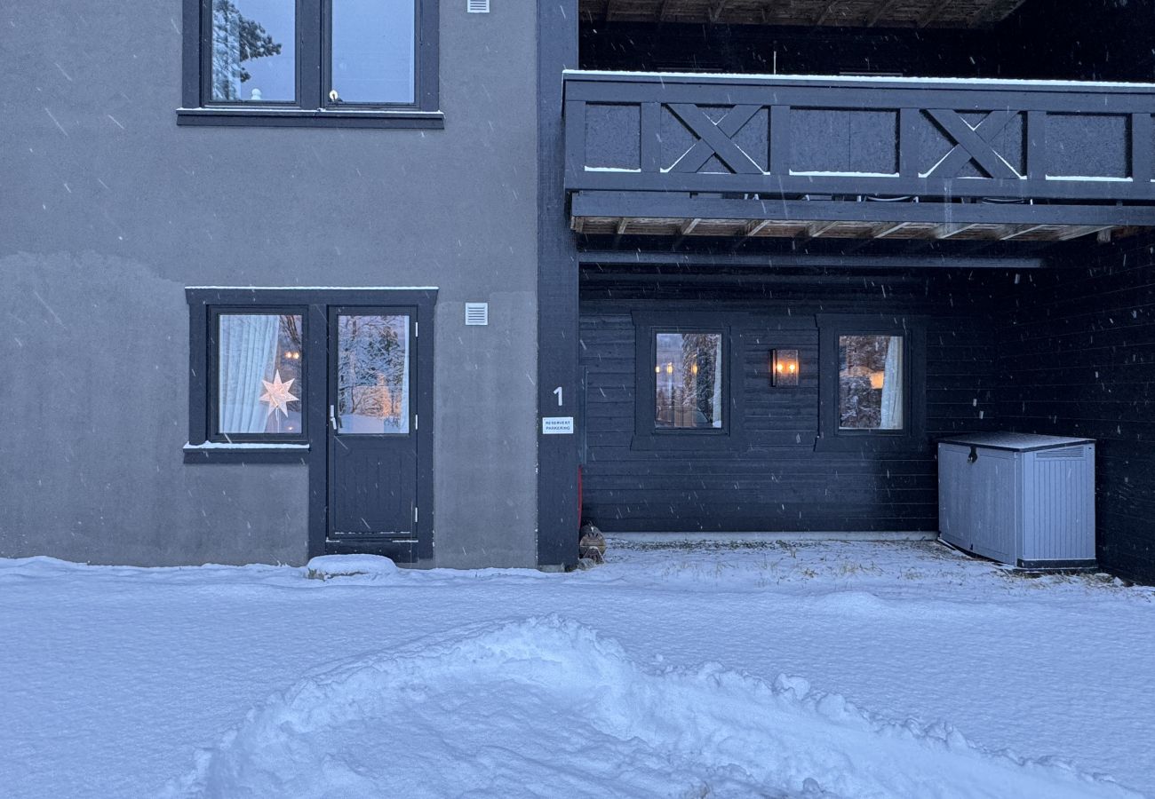 Apartment in Hemsedal -  Spacious apartment near Hemsedal ski resort Ski in ski out