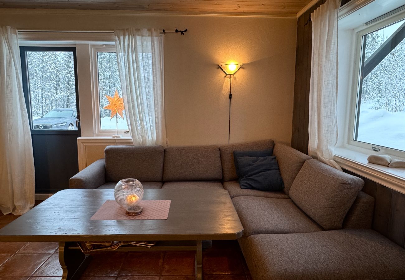 Apartment in Hemsedal -  Spacious apartment near Hemsedal ski resort Ski in ski out