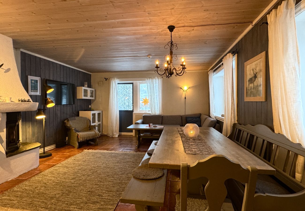 Apartment in Hemsedal -  Spacious apartment near Hemsedal ski resort Ski in ski out