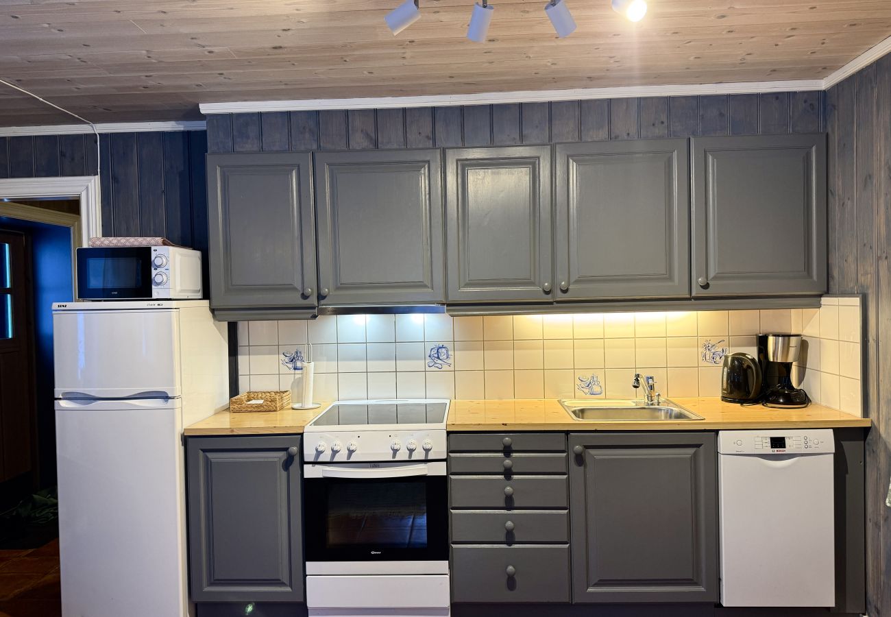 Apartment in Hemsedal -  Spacious apartment near Hemsedal ski resort Ski in ski out