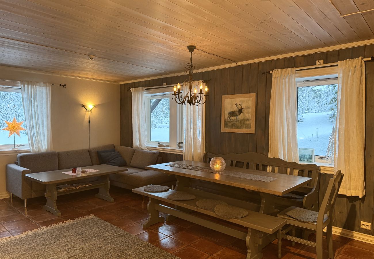 Apartment in Hemsedal -  Spacious apartment near Hemsedal ski resort Ski in ski out