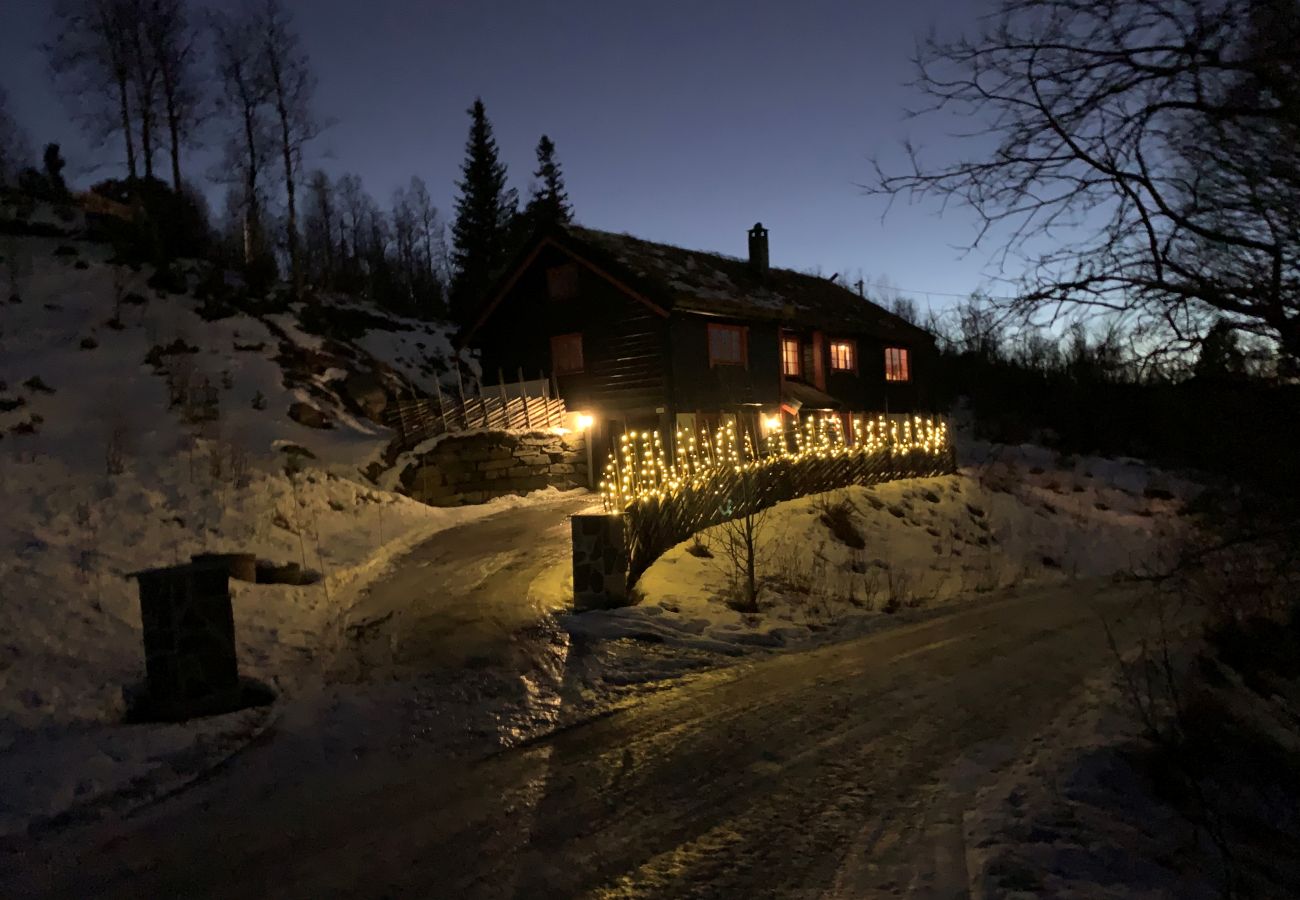 Cabin in Hol - Fjellro