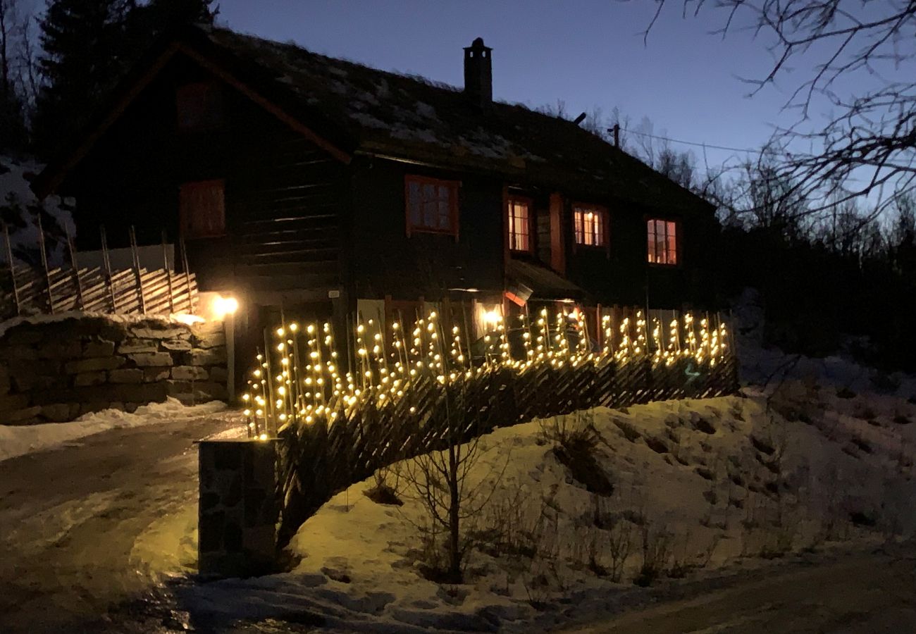 Cabin in Hol - Fjellro