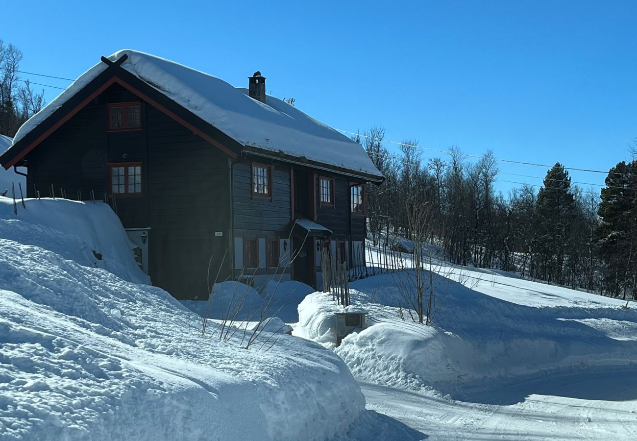 Cabin in Hol - Fjellro