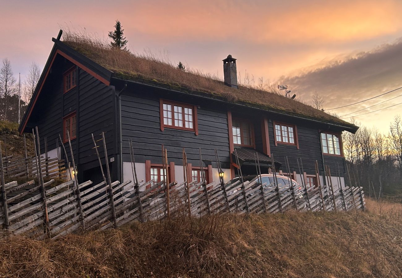 Cabin in Hol - Fjellro